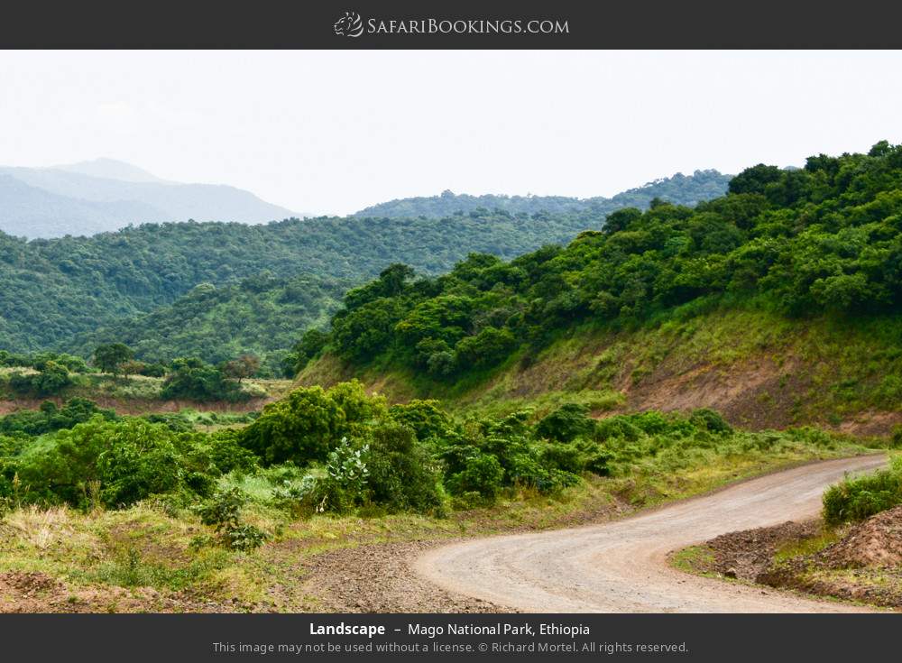 Landscape in Mago National Park, Ethiopia
