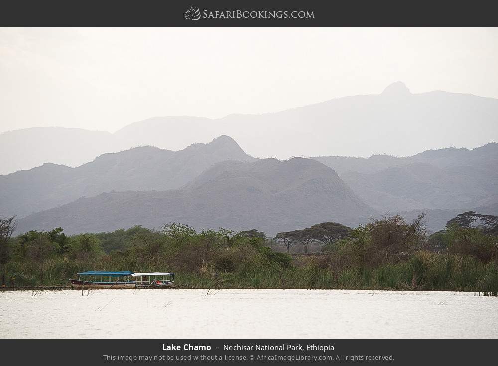 Lake Chamo in Nechisar National Park, Ethiopia