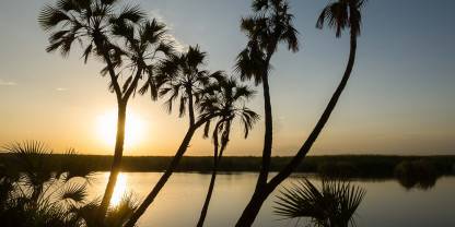 Awash National Park