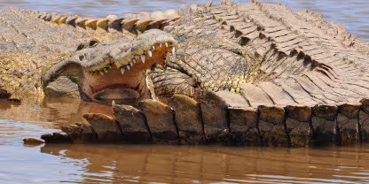 Nechisar National Park