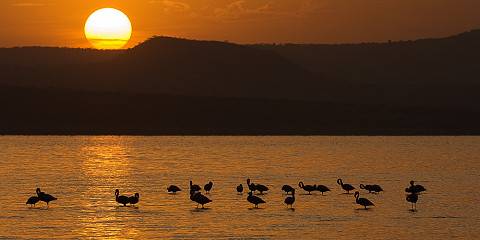 10-Day North Ethiopia Tour Including Simien Mountain