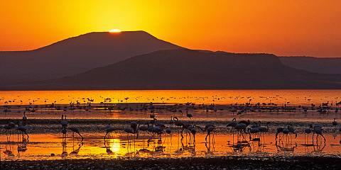 5-Day From Addis Ababa-Danakil Depression-Lalibela