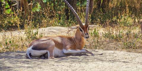 Southern Ethiopia's Cultural Treasure