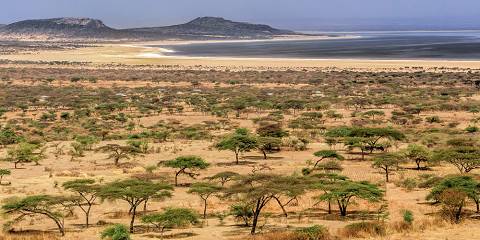 3-Day Ethiopian Rift Valley Safari