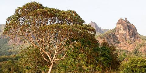 3-Day Bale Mountains Discovery Tour