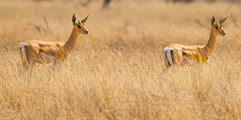 3-Day Exploring Maze National Park