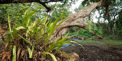 4-Day Chebera Churchura Park Tour