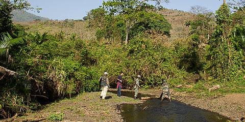 3-Day Safari Trip to Chebera Churchura National Park