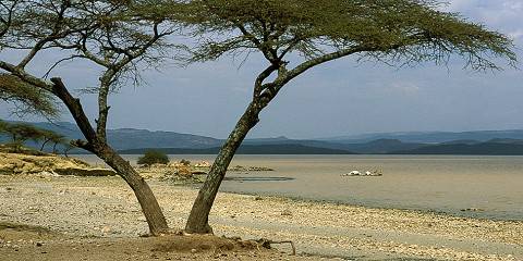 5-Day Ethiopia Yoga Retreat & Nature Wellness Tour