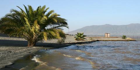 5-Day Zeway to Langano Nature Escape