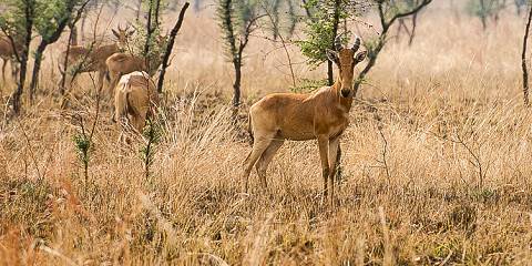 14-Day Grand Cultural Southern Ethiopia Tour