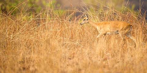 3-Day Maze National Park Tour