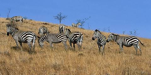 4-Day Arbaminch and Konso Adventure Tour Life Time