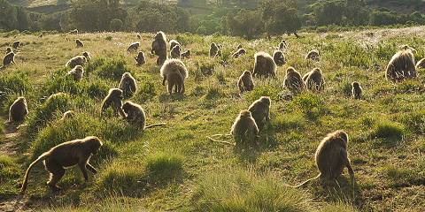 Go Green and off the Beaten Track