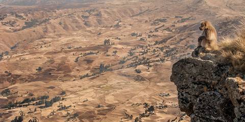 Hiking on the Simien Mountains 'Roof of Africa'