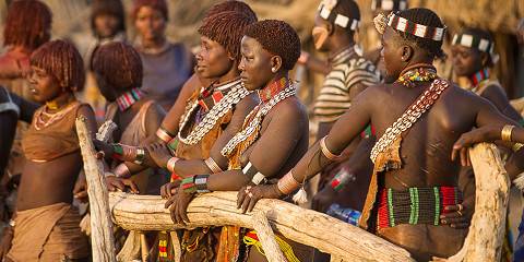 Omo Valley and Harar