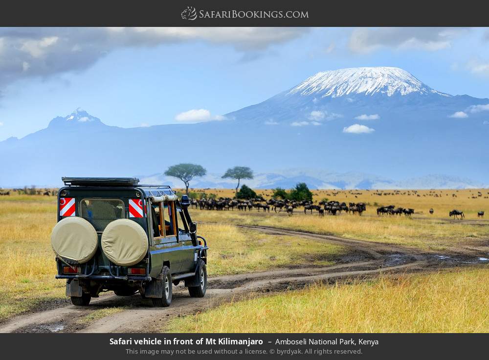 Safari vehicle in front of Mt Kilimanjaro in Amboseli National Park, Kenya