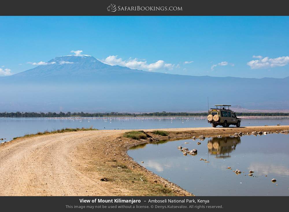 View of Mt Kilimanjaro  in Amboseli National Park, Kenya