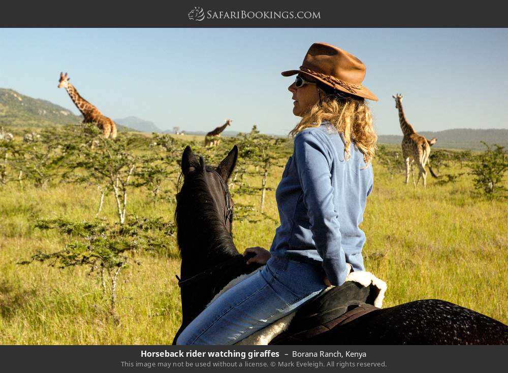 Horseback rider watching giraffes in Borana Ranch, Kenya
