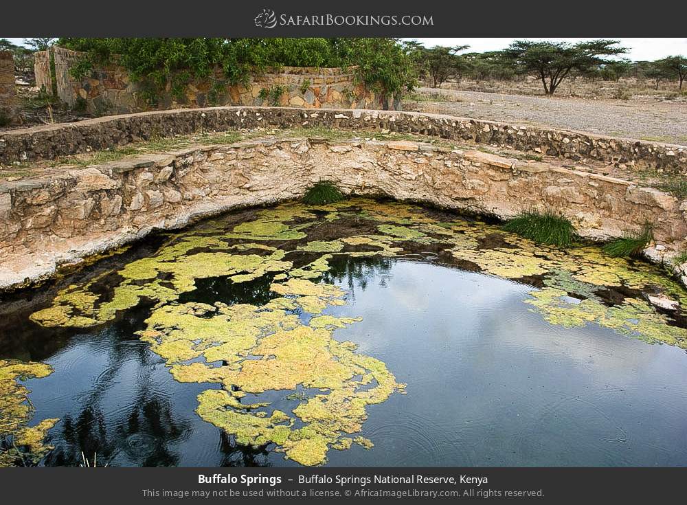 Buffalo Springs in Buffalo Springs National Reserve, Kenya