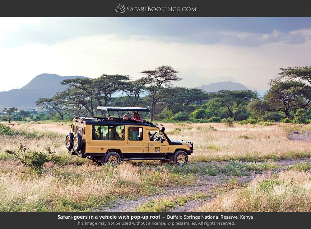 Safari-goers in a vehicle with pop-up roof in Buffalo Springs National Reserve, Kenya