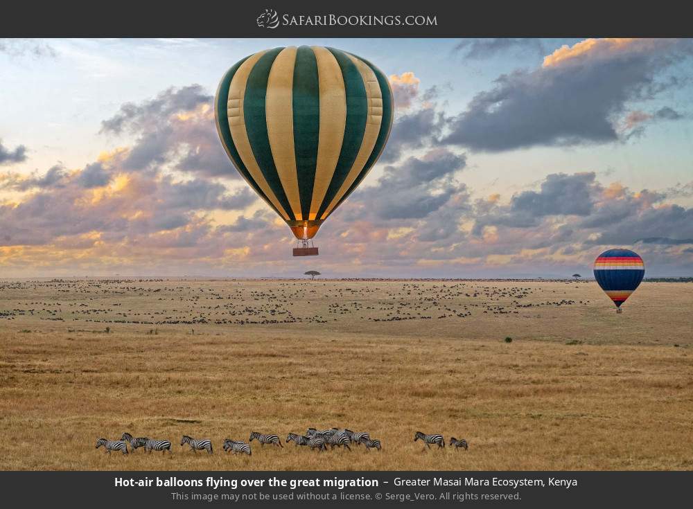 Kenya Safari: ½-Day Hot Air Balloon Safari Masai Mara