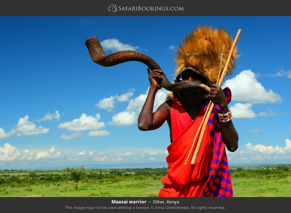 Maasai warrior in Other, Kenya