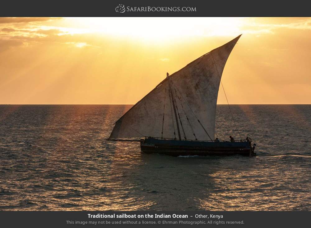 Traditional sailboat on the Indian Ocean in Other, Kenya