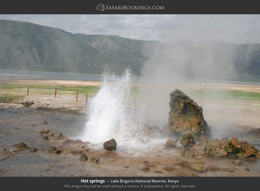 Hot springs in Lake Bogoria National Reserve, Kenya