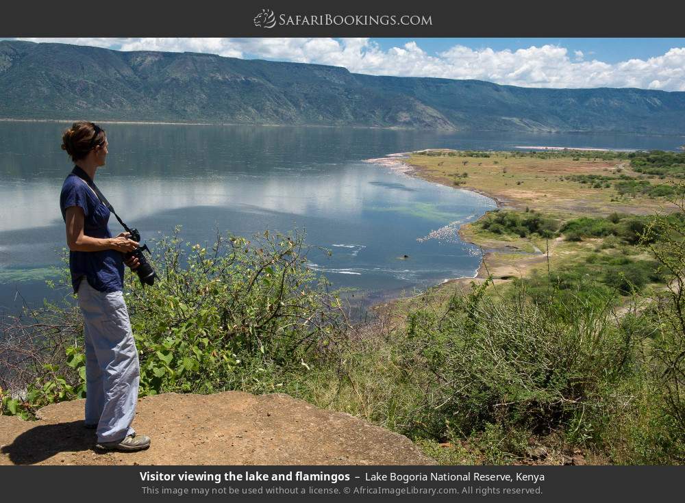 Visitor viewing the lake and flamingos in Lake Bogoria National Reserve, Kenya