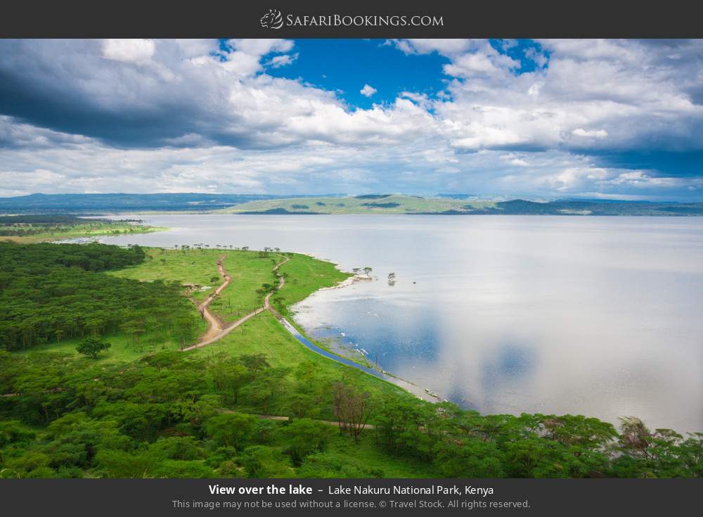 View over the lake in Lake Nakuru National Park, Kenya