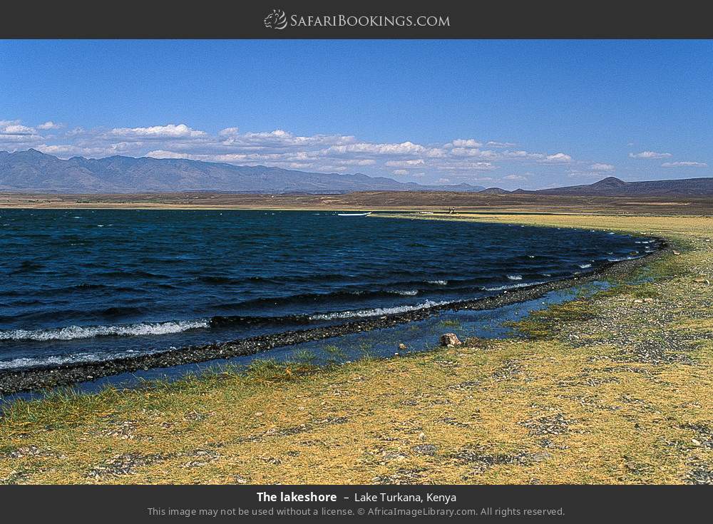 The lakeshore in Lake Turkana, Kenya