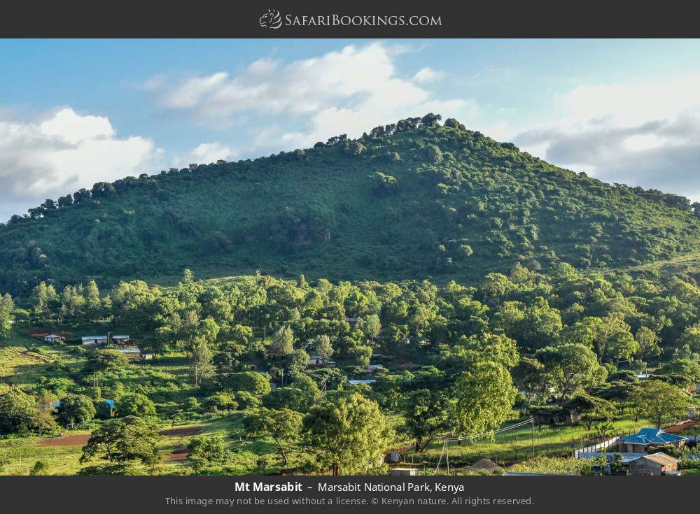 Mt Marsabit in Marsabit National Park, Kenya