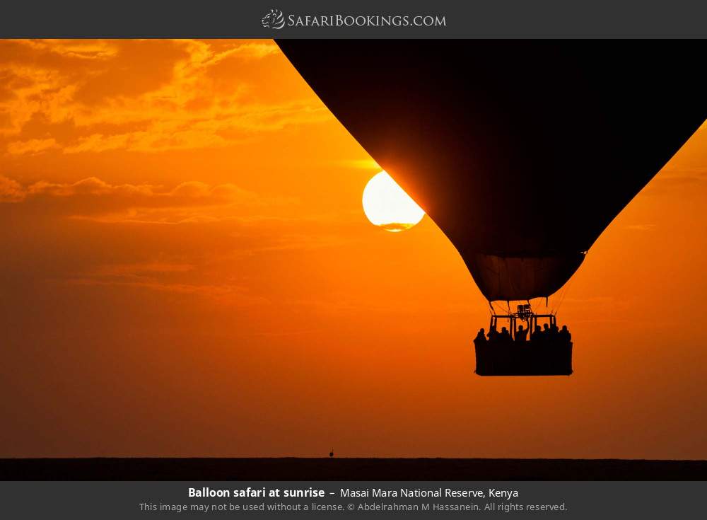 Balloon safari at sunrise in Masai Mara National Reserve, Kenya