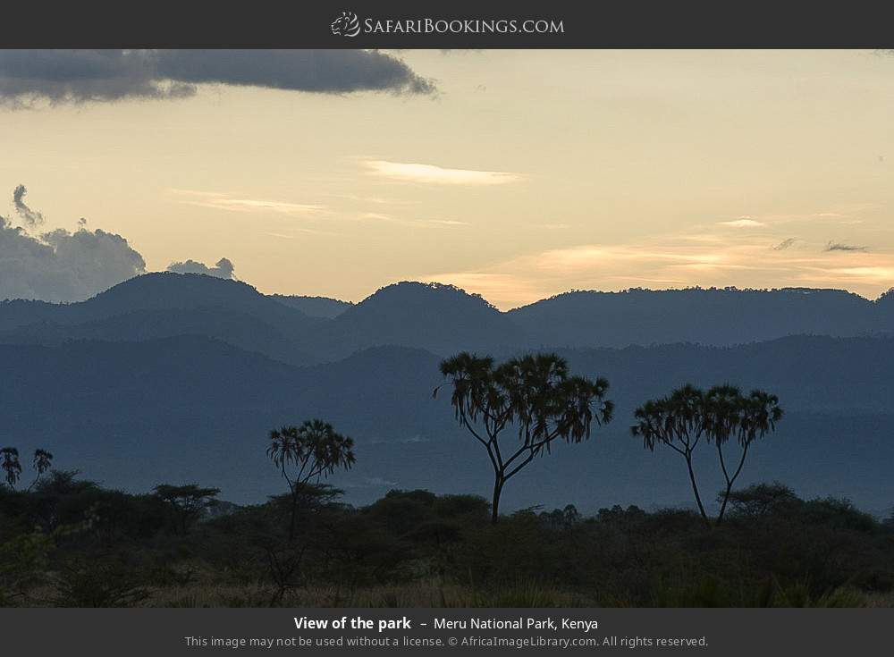 View of the park in Meru National Park, Kenya