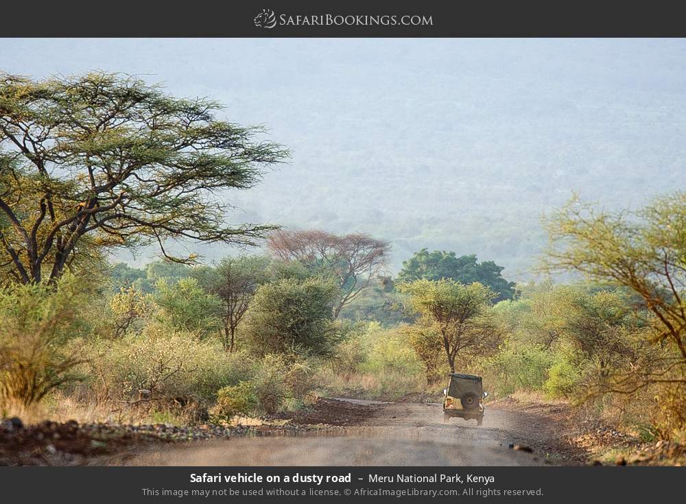 Safari vehicle on a dusty road in Meru National Park, Kenya