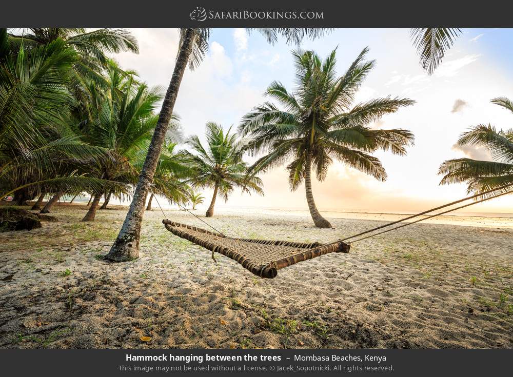 Hammock hanging between the trees in Mombasa Beaches, Kenya