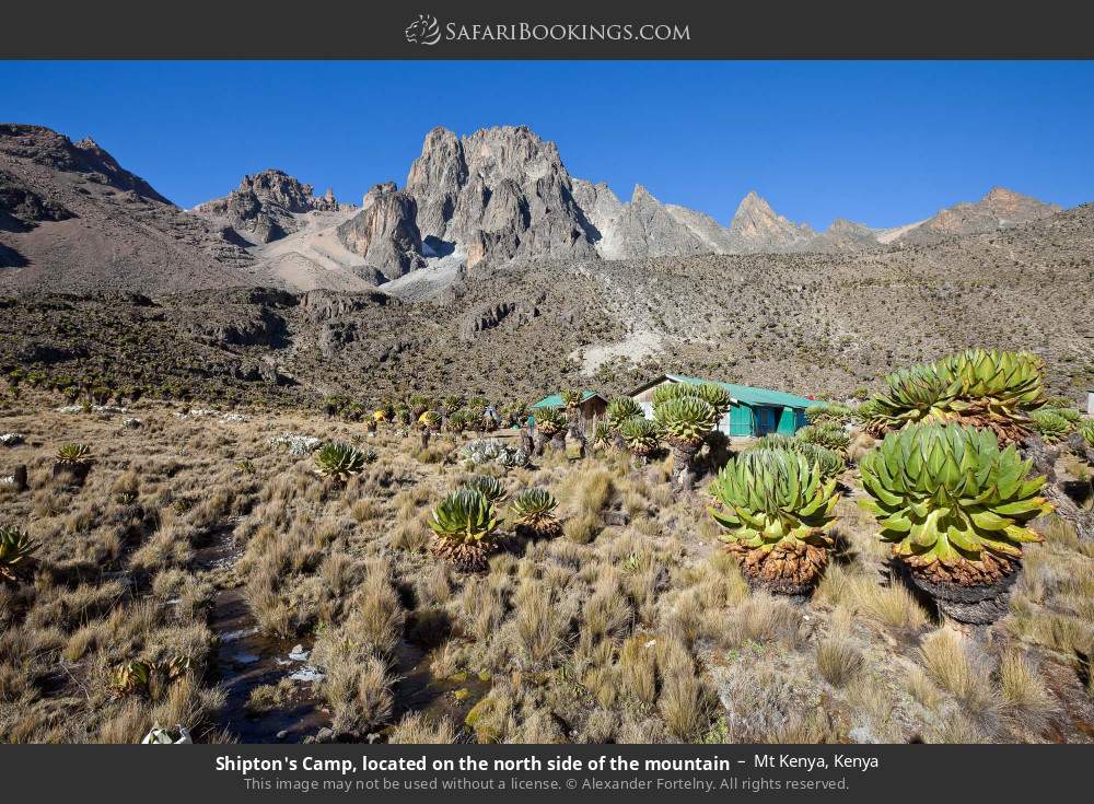 Shipton's Camp in Mt Kenya, Kenya