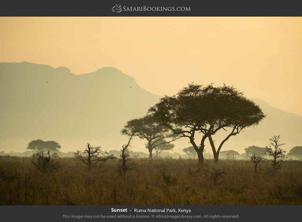 Sunset in Ruma National Park, Kenya