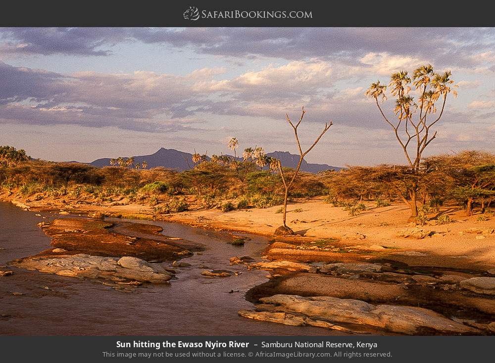 The Ewaso Nyiro River in Samburu National Reserve, Kenya