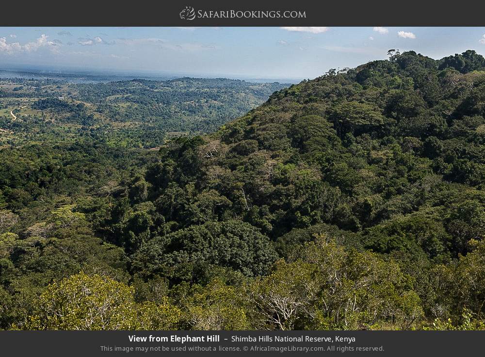 View from Elephant Hill in Shimba Hills National Reserve, Kenya