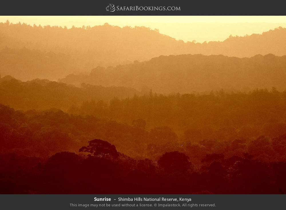 Sunrise in Shimba Hills National Reserve, Kenya