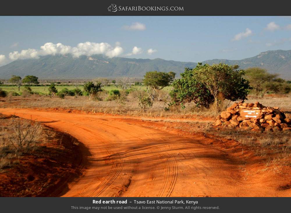 Red earth road in Tsavo East National Park, Kenya