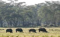 Lake Nakuru National Park