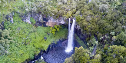 Aberdare National Park