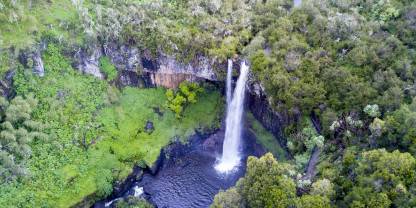 Aberdare National Park