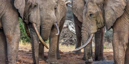 Chyulu Hills National Park