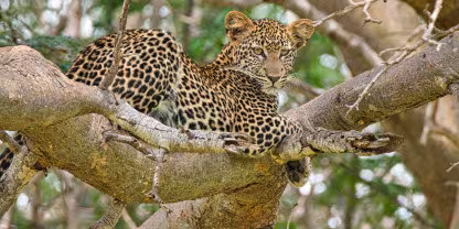 Tsavo East National Park