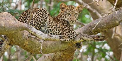 Tsavo East National Park