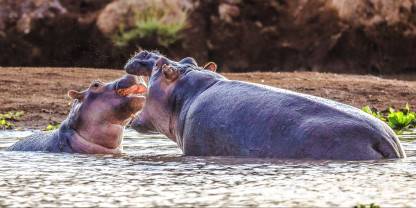 Tsavo West National Park